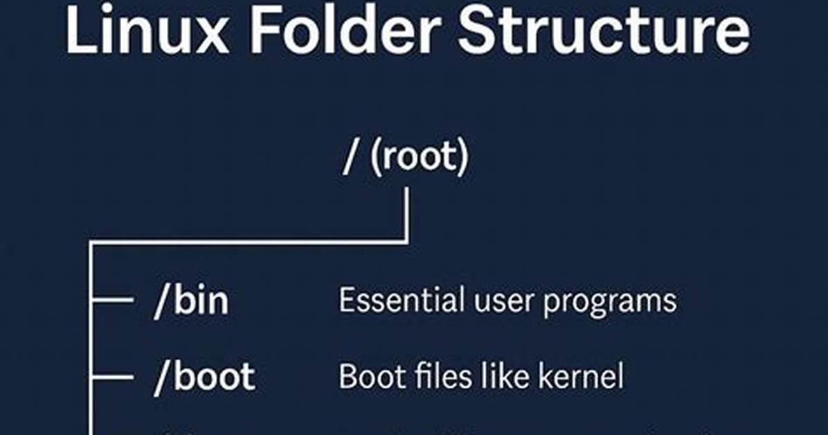 What Is Dev Folder Linux?