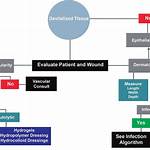 What Is Devitalised Tissue?