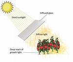 What Is Diffuse Sunlight