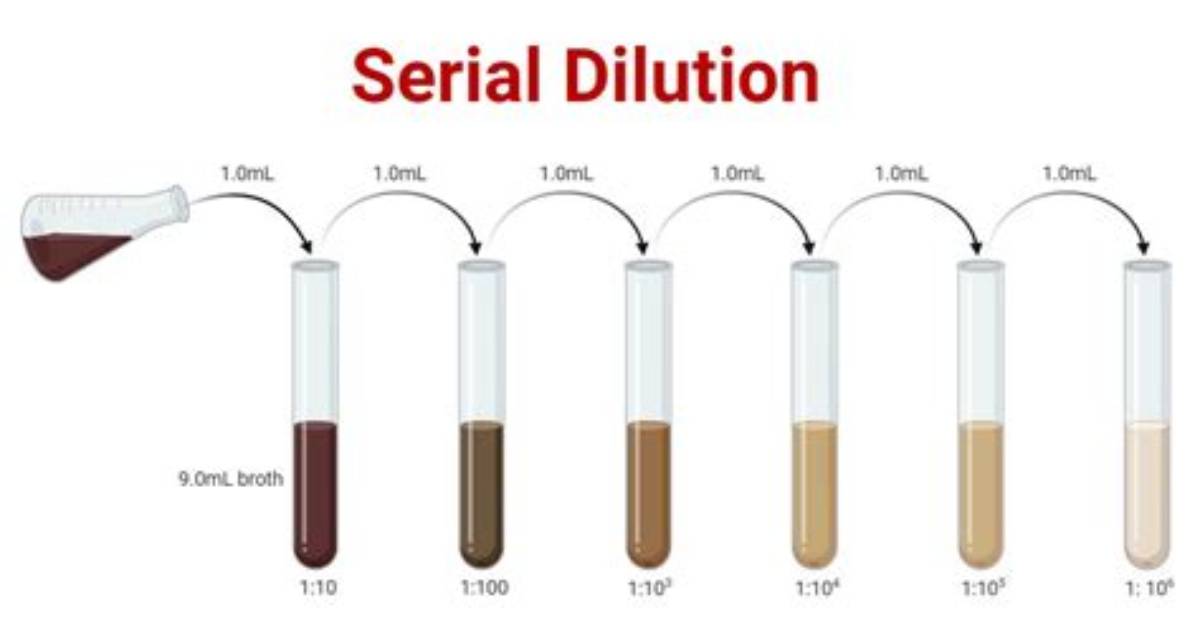 What Is Dilution Methods