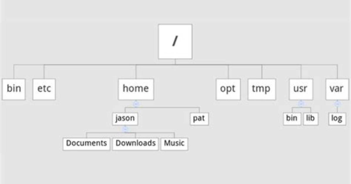 What Is Directory Tree Linux?