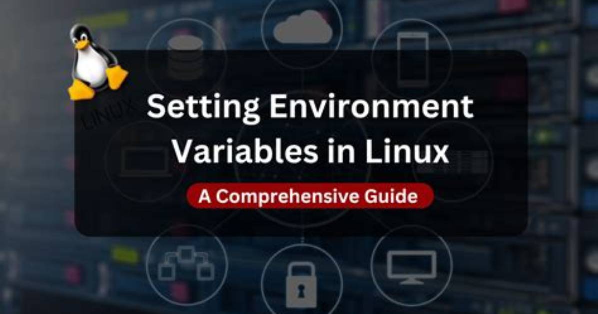 What Is Display Environment Variable in Linux?