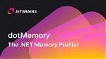 What Is Dot Memory