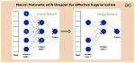 What Is Dropout Regularization?