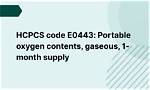 What Is E0443