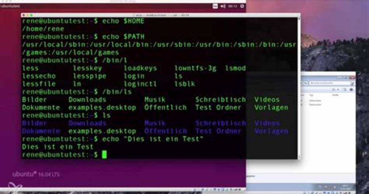 What Is Echo $Path in Linux?