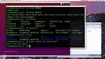 What Is Echo $Path in Linux?