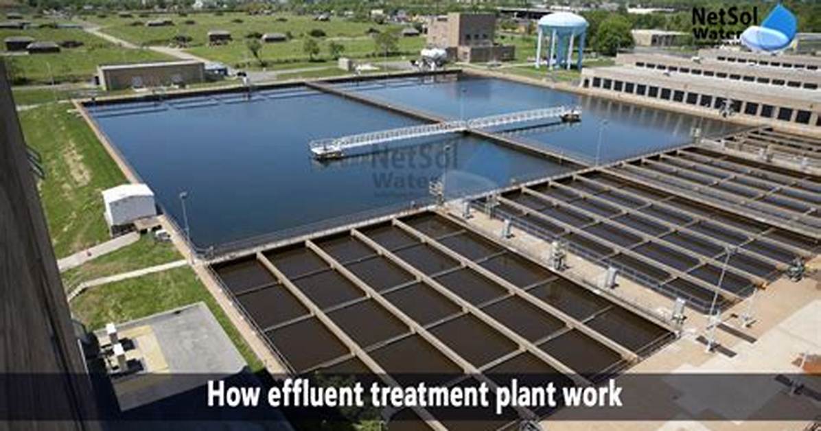 What Is Effluent