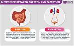 What Is Egested Mean?