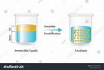 What Is Emulsification