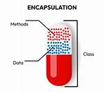 What Is Encapsulation in Object Oriented Programming?