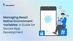 What Is Environment Variable in React-Native?