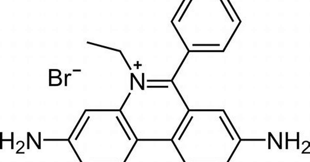 What Is Ethidium Bromide?