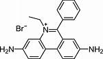 What Is Ethidium Bromide?