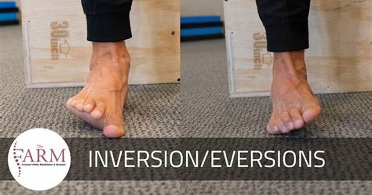 What Is Eversion and Inversion?