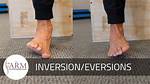 What Is Eversion and Inversion?