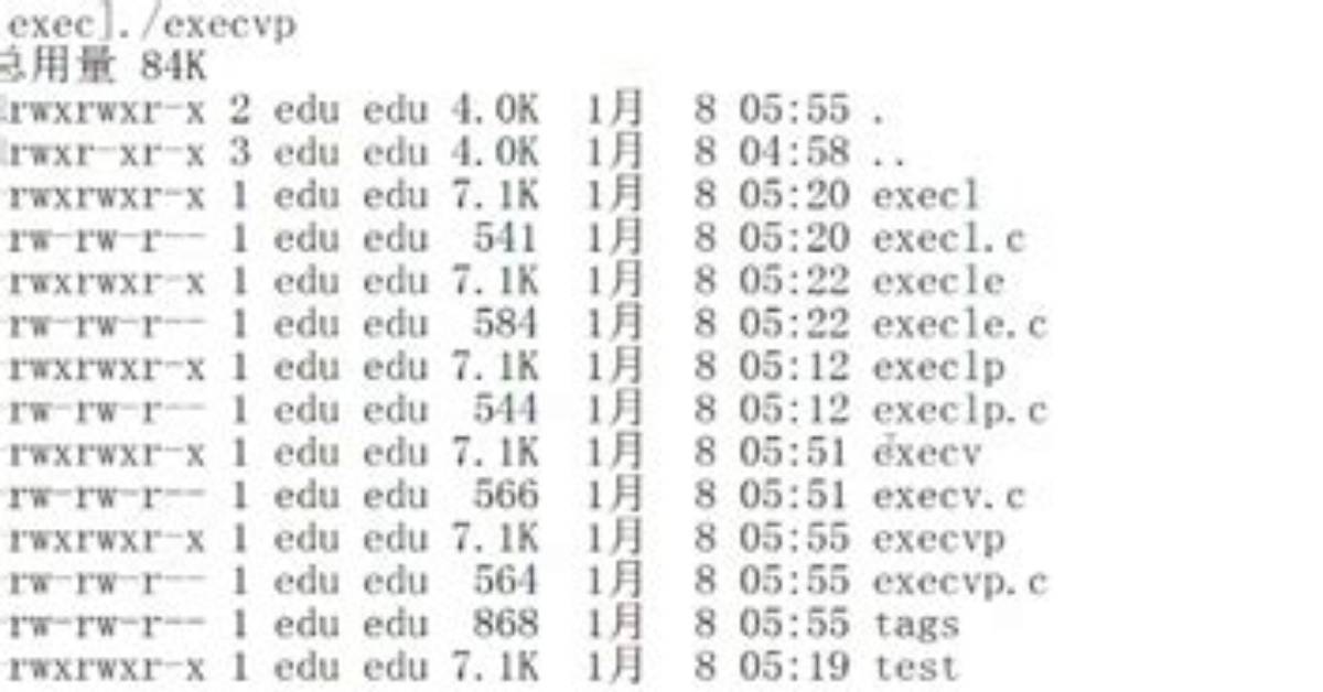 What Is Execvp in Linux?