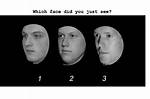 What Is Faceblind