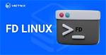 What Is Fd in Linux?