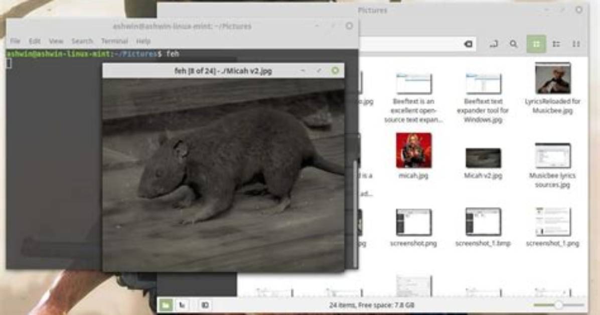 What Is Feh Linux?