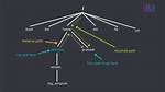 What Is File Path in Linux?