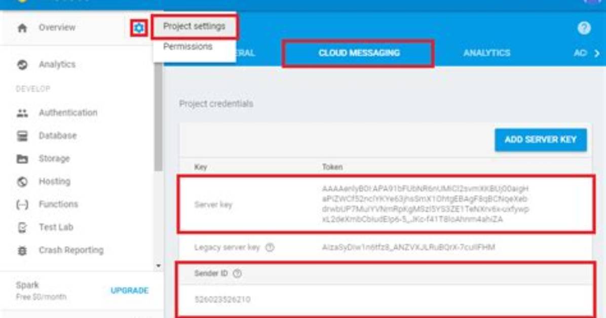 What Is Firebase Server Key