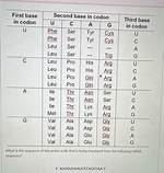 What Is First Base Second Base?