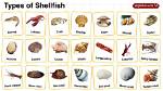 What Is Fish Shell?