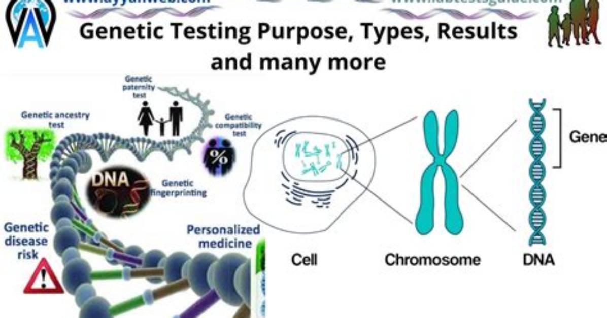 What Is Genomic Testing?