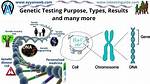 What Is Genomic Testing?
