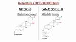 What Is Gitoxin Used for?