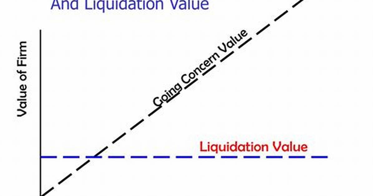 What Is Going Concern Value