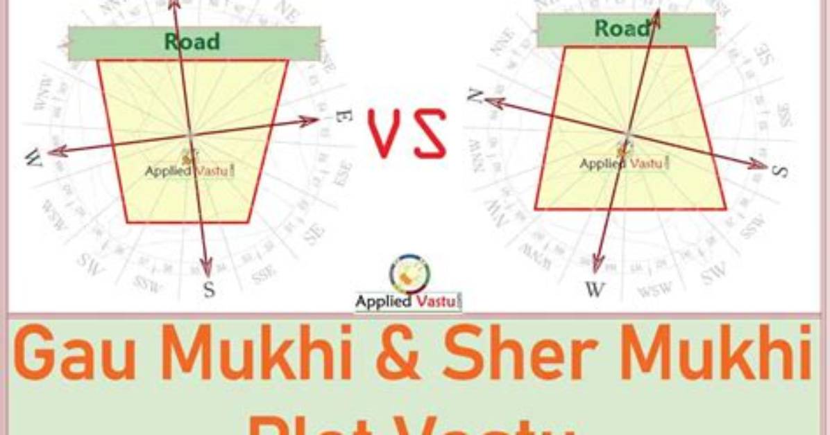 What Is Gomukhi Plot?