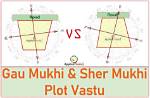 What Is Gomukhi Plot?