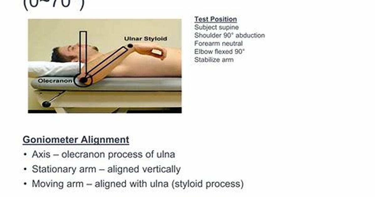 What Is Goniometer Testing?
