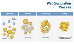 What Is Granulation Process?