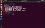 What Is Grep Command in Linux with Examples?