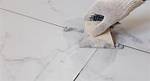 What Is Grout