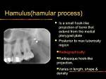 What Is Hamular Process?