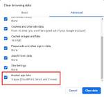 What Is Hosted App Data?