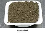 What Is Hypnum Peat?