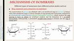 What Is Isomerase Function?