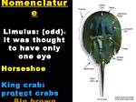 What Is Limulus Definition?