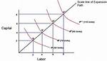 What Is Linear Homogeneous Production Function