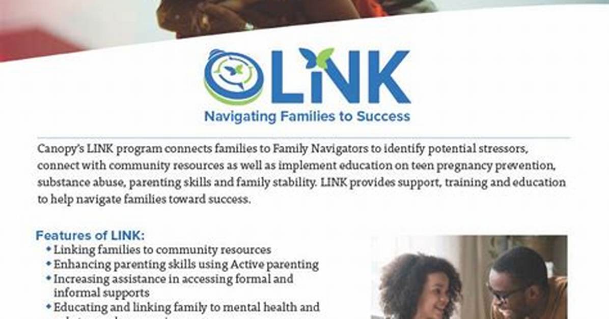What Is Link Program