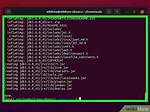 What Is Linux Bin False?