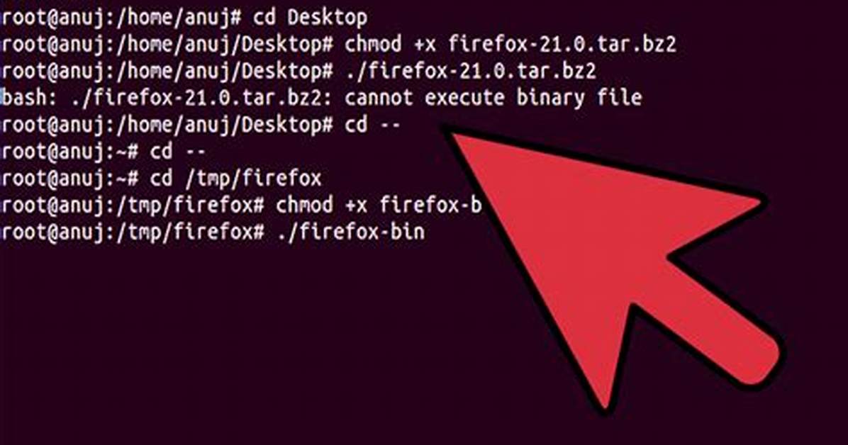 What Is Linux Bin User?