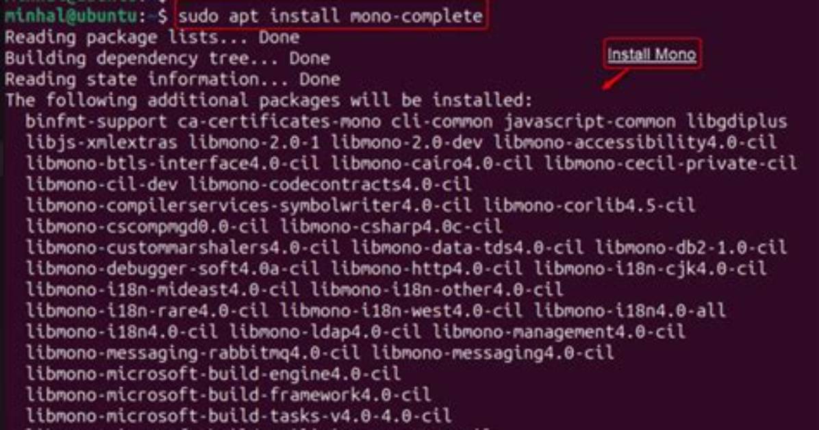 What Is Linux Mono?