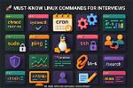 What Is Linux Short Answer?