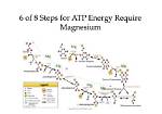 What Is Magnesiums Primary Function